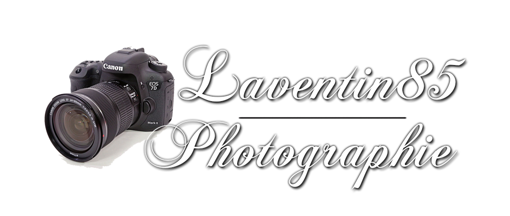 galerie laventin85