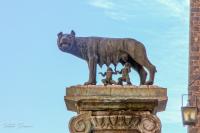 La Louve capitoline